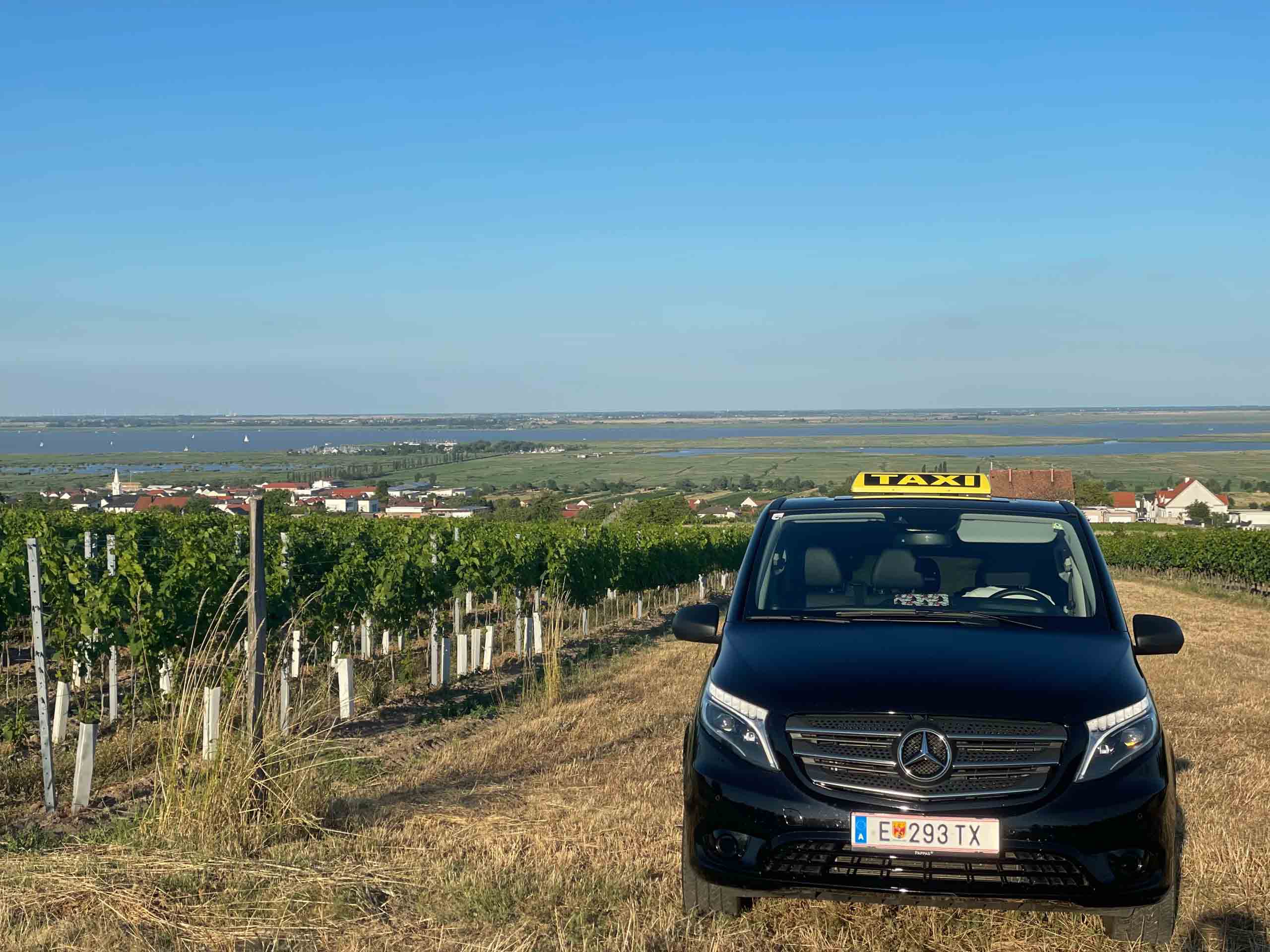 Schwarzer Taxi-Bus auf einer Wiese